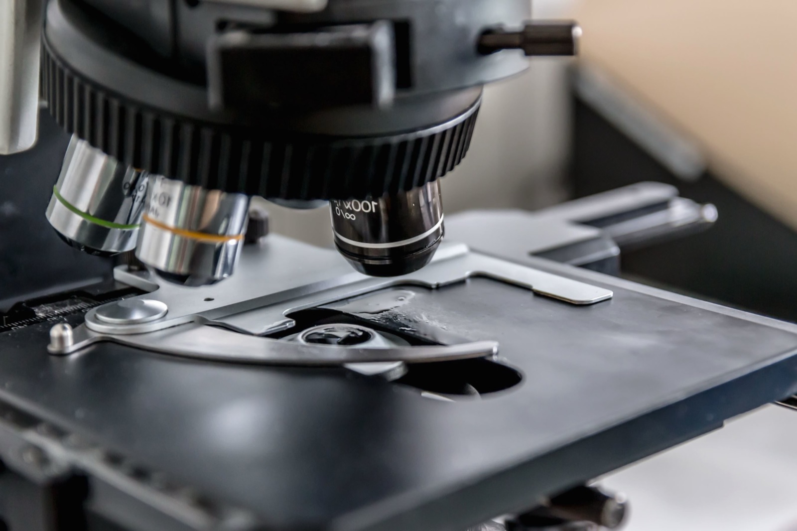 Objetiva de microscópio em análise — triagem e caracterização de cepas